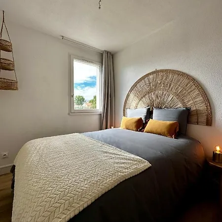 Renove A 300m De La Appartement *