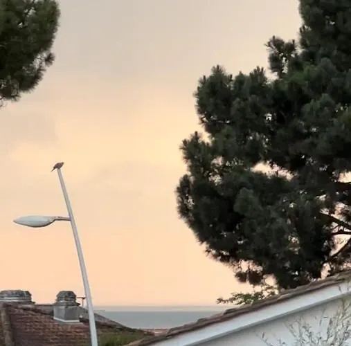 Renove A 300m De La דירה